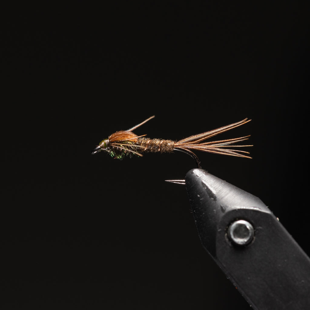 Pheasant Tail Nymph