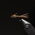 Pheasant Tail Nymph