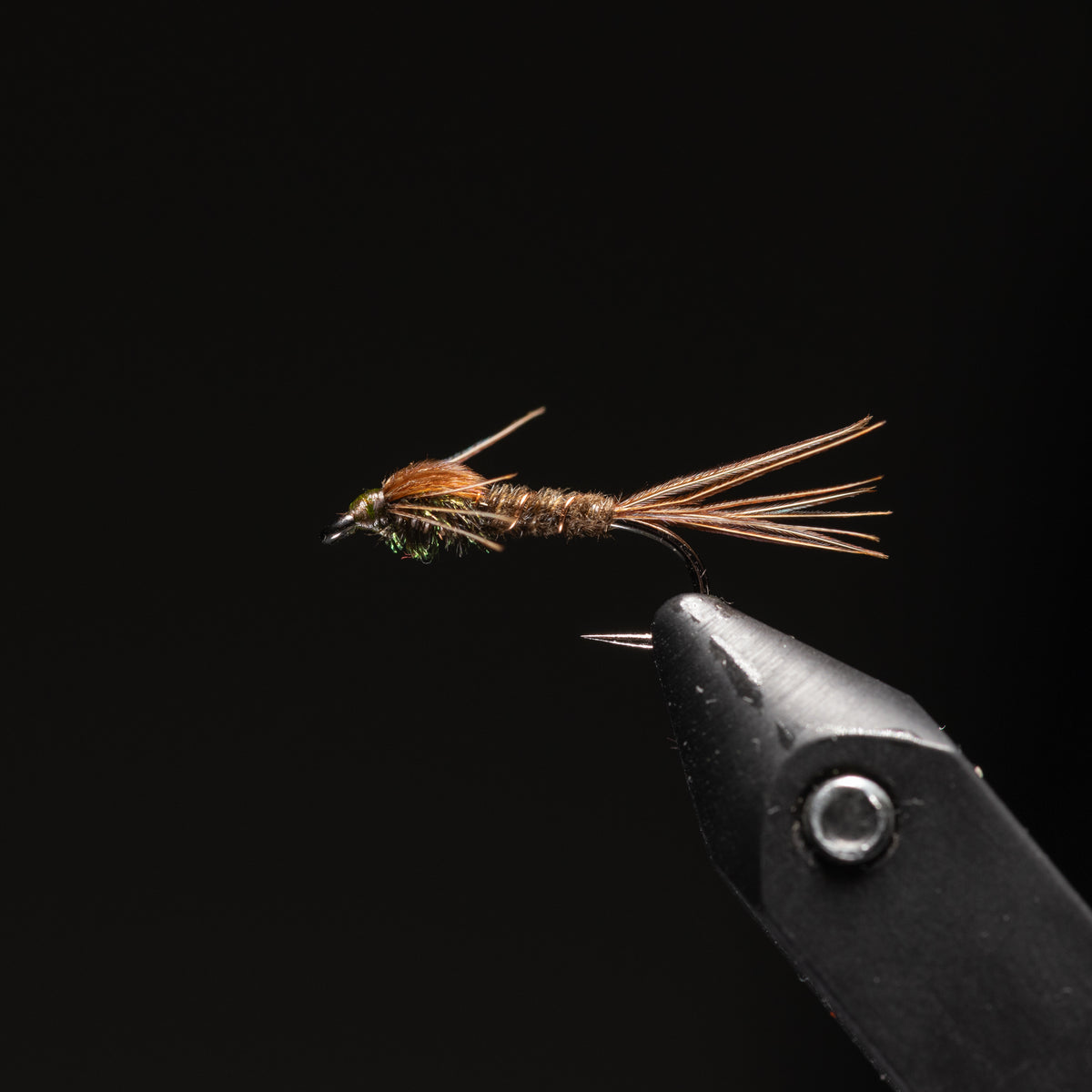 Pheasant Tail Nymph