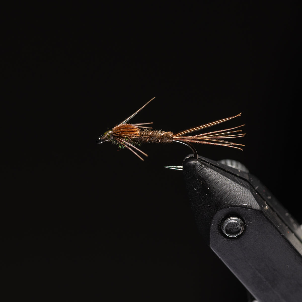 Pheasant Tail Nymph