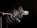 Circus Peanut - Pearl and White - Size 2